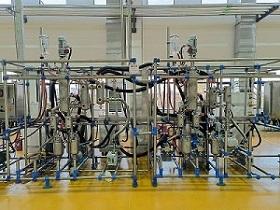 中试两级分子蒸馏(齿轮泵进出料)